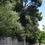 Rue du Puech