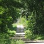 Sous un tunnel de verdure