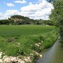 La petite palun