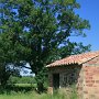 Cabanon typique de la Palun