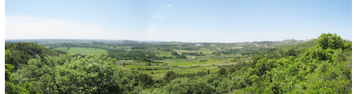 paluns2